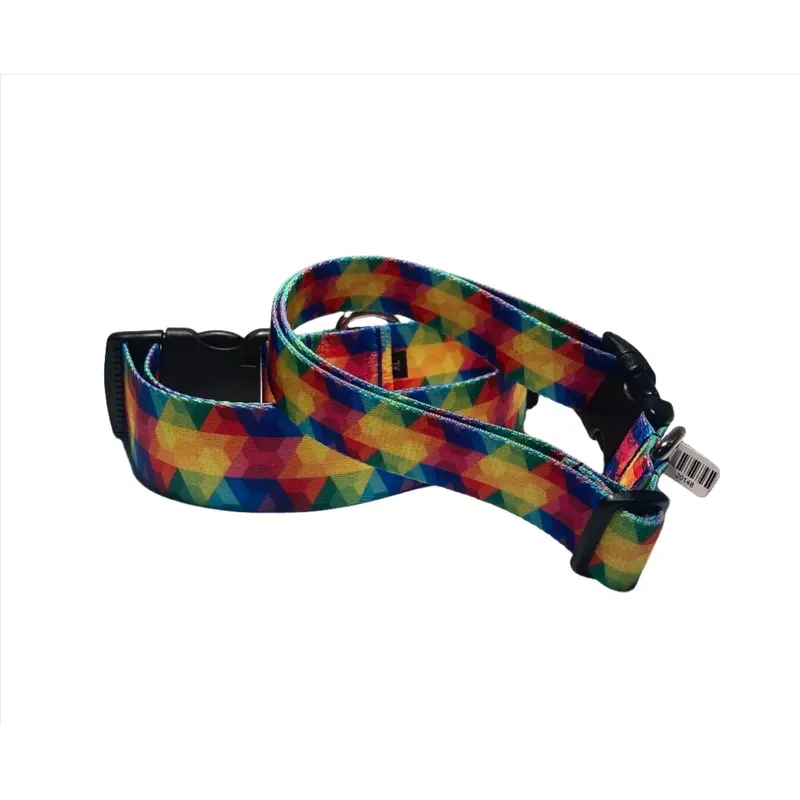 Psychedelic Color Bomb Dog Collars or Leads (1.5" Wide)