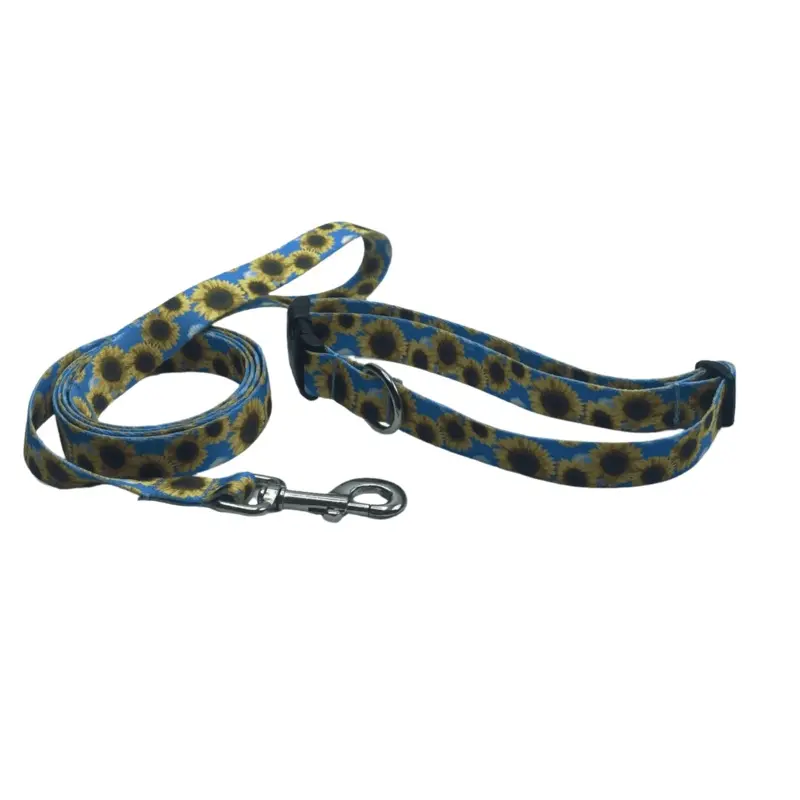 Summer Sunflowers Dog Collars or Leads (1" Wide)
