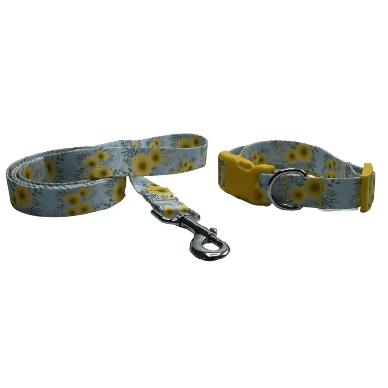 Sunny Days Collars or Leads (5/8" wide)