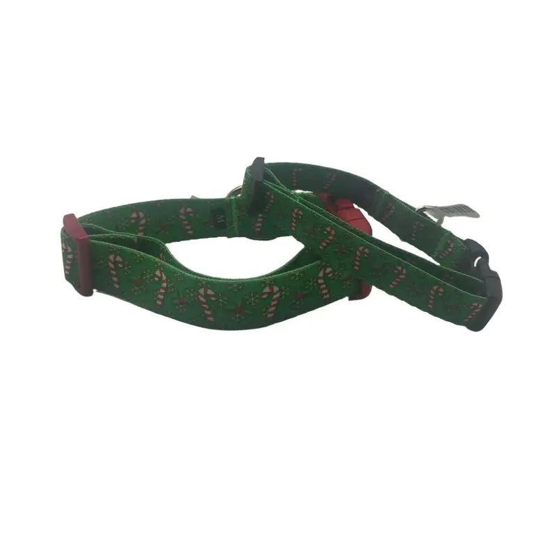 Holiday Candy Canes Dog Collars & Leads (1" Wide)