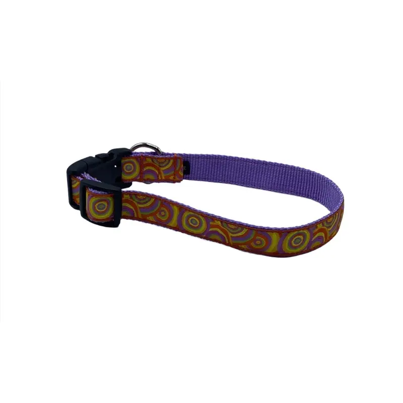 Orange Sherbet Puppy Paint Drops Dog Collars or Leads (1" Wide)