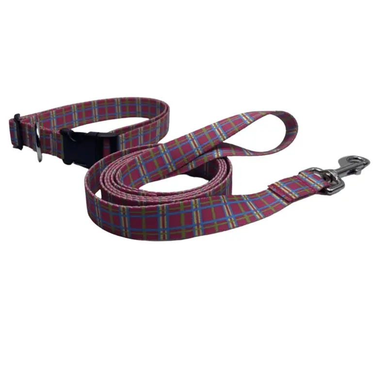 Pink Easter Basket Argyle Dog Collar or Lead (1" Wide)