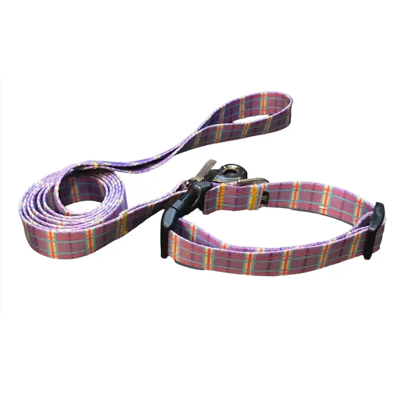 Purple Easter Basket Argyle Dog Collar or Lead (1" Wide)