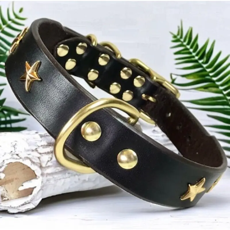 1.25" Leather Dog Collar with Stars