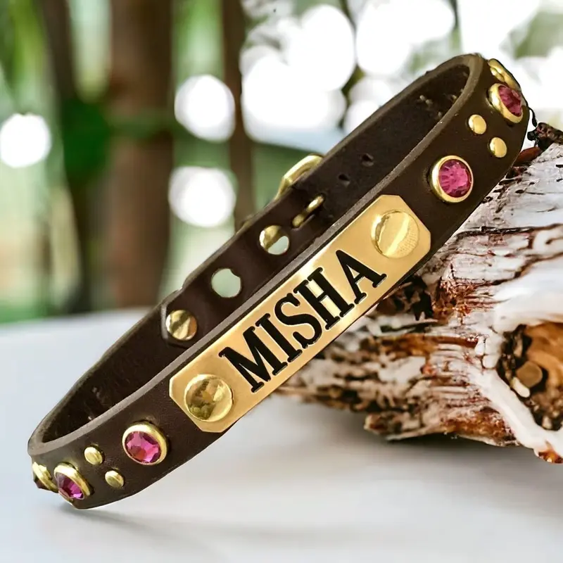 Bling Leather Dog Collar Sorren with Nameplate