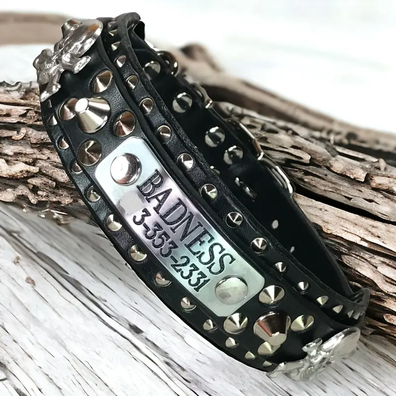 Personalized  Leather Dog Collar Barbarossa