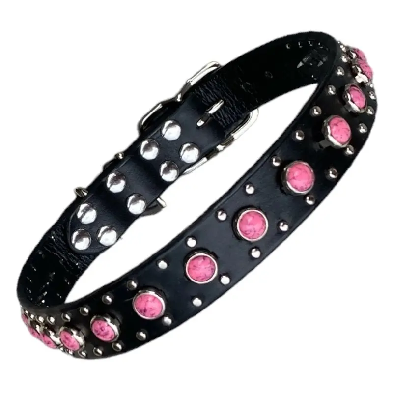 Turquoise or Pink Studded Dog Collar
