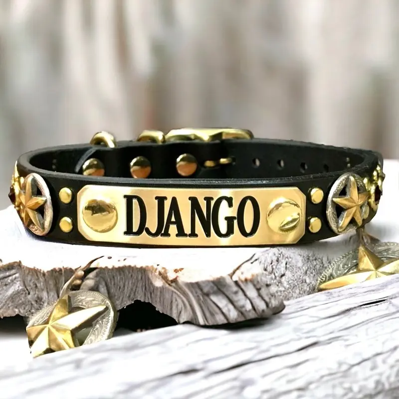 Django Leather Dog Collar
