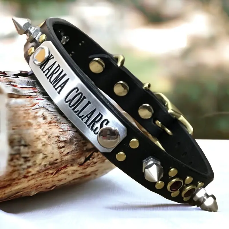Little Jonnie Spikes Leather Dog Collar
