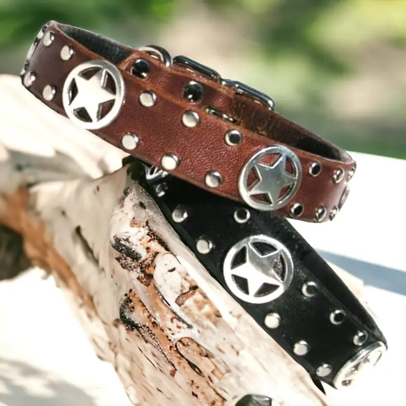 Little Ranger Leather Dog Collar