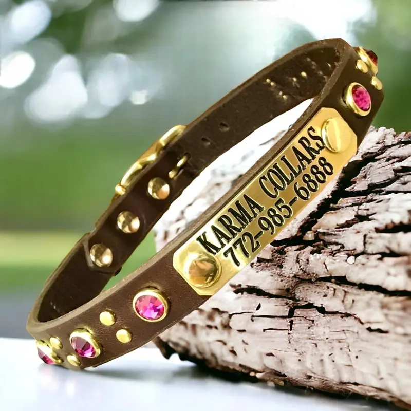 Sorren Leather Dog Collar with Nameplate