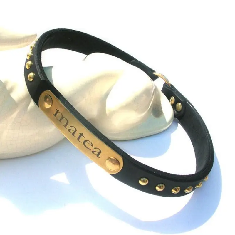Unforgettable ID tag holder