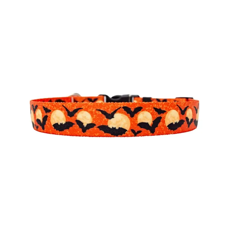 Moon Orange with Bats Dog Collar