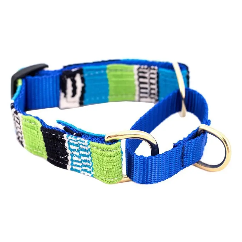 Laguna Brava Martingale Dog Collar