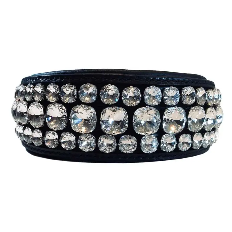 Toxic Dog Collar #1