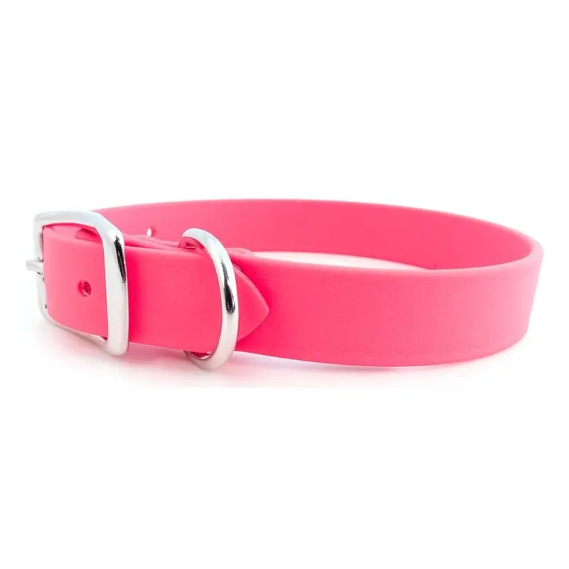 Sparky's Choice Buckle Dog Collar Pink