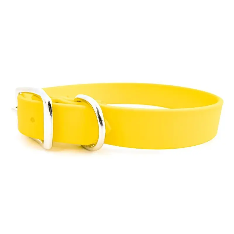 Sparky's Choice Buckle Dog Collar Yellow