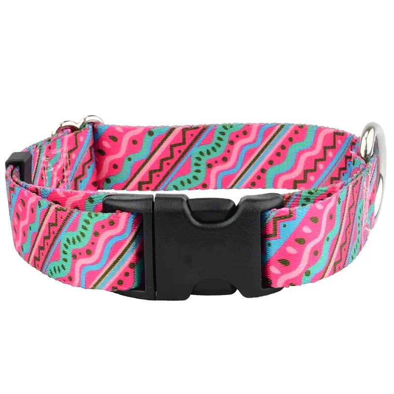 1980's EarthStyle Dog Collar