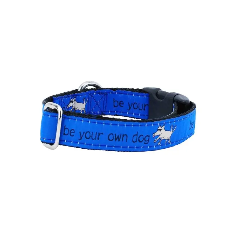 Be Your Own Dog Teddy The Dog Essential 1" Dog Collar