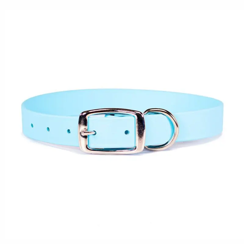 Sparky's Choice Buckle Dog Collar Baby Blue