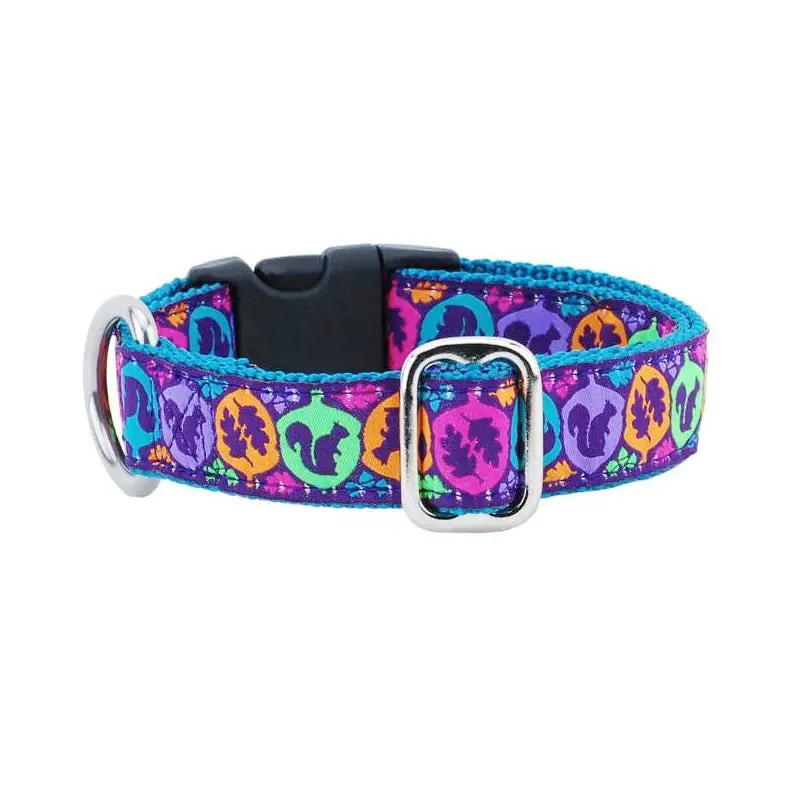 Squirrel Essential 1" Dog Collar