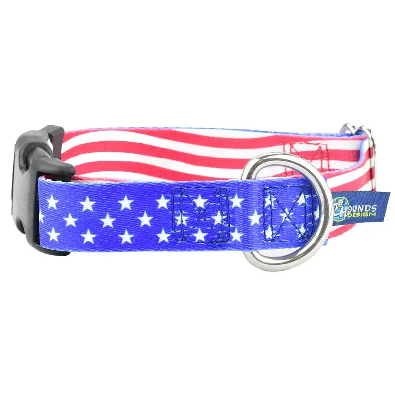 Star Spangled EarthStyle Dog Collar