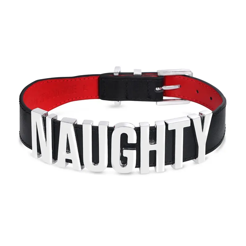 Naughty Confession Dog Collar