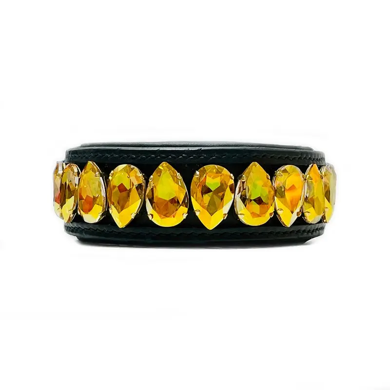 Liz Big Dog Collar Metallic Sunshine