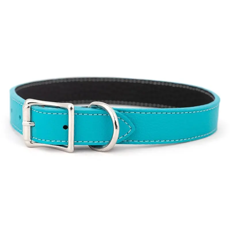 Tuscan Leather Dog Collar Turquoise