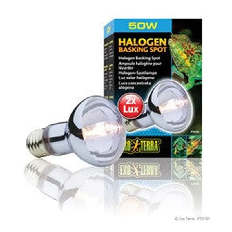 Exo Terra Sun-glo Halogen Lamp 50w Pt2181