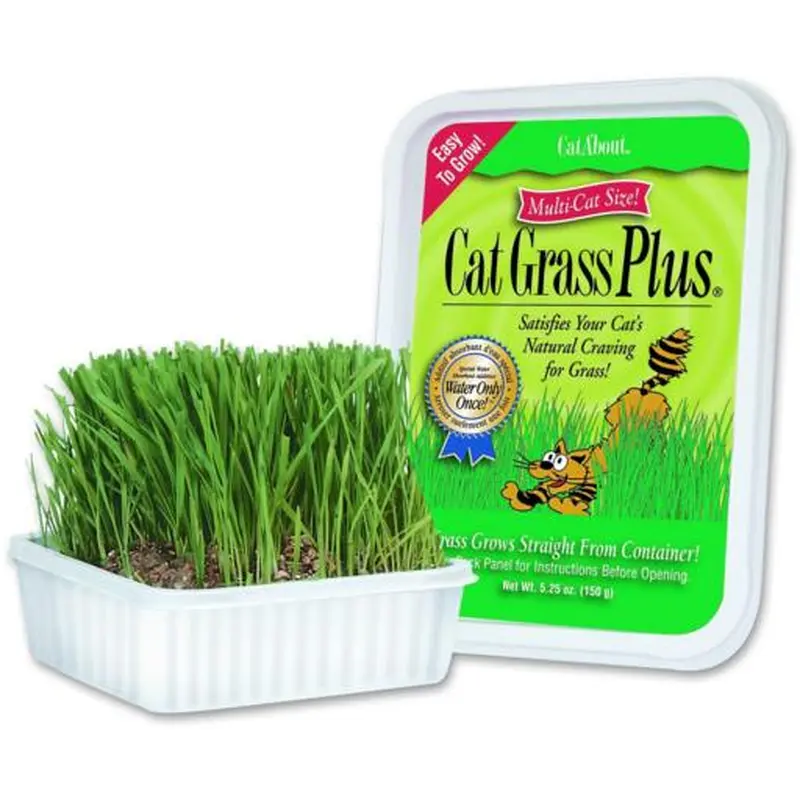 Miracle Care Gimpet Cat Grass 150g 