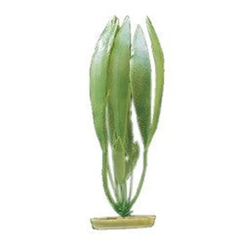 Aquascaper Amazon Sword Plant 8in Pp801