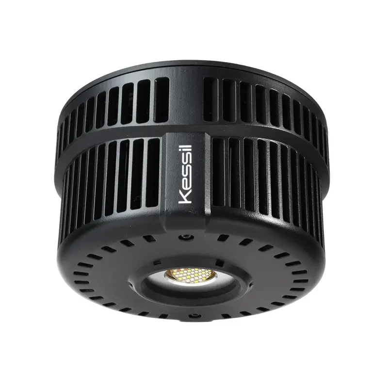 Kessil A500X Tuna Blue