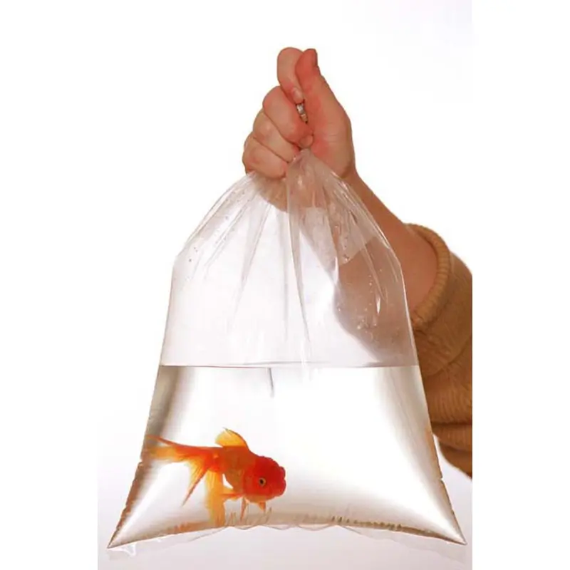 Rutan Poly Industries Fish Bags Clear 2mm 8 InchesX 20 Inches, 1000 Bag