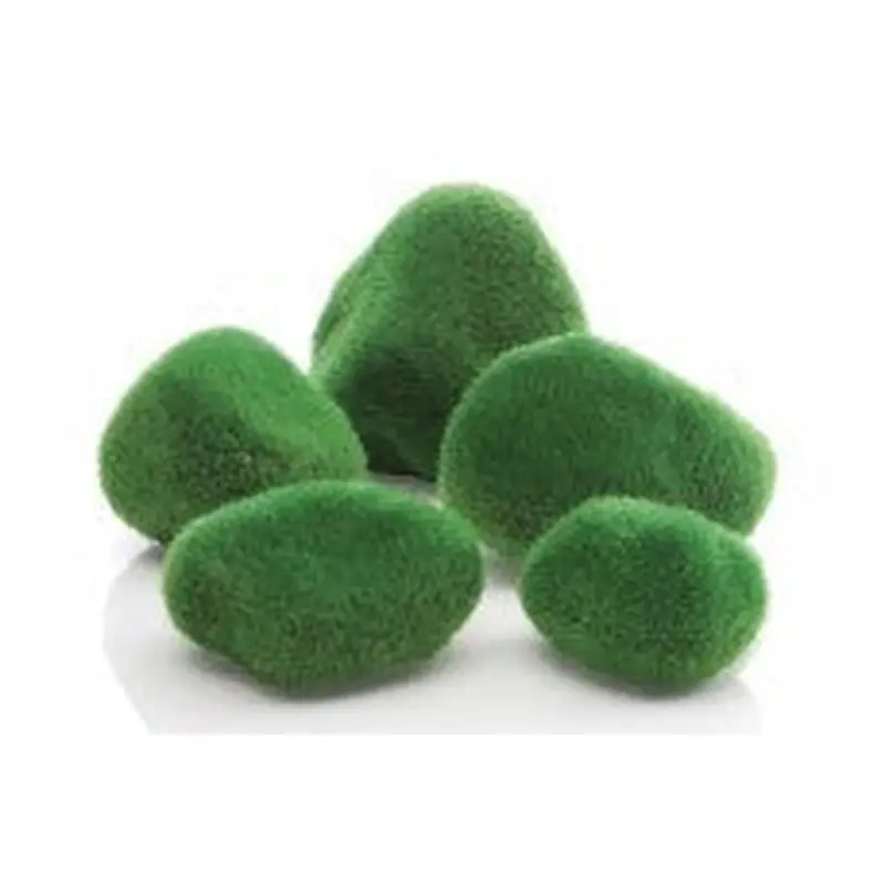 biOrb Moss Pebbles 