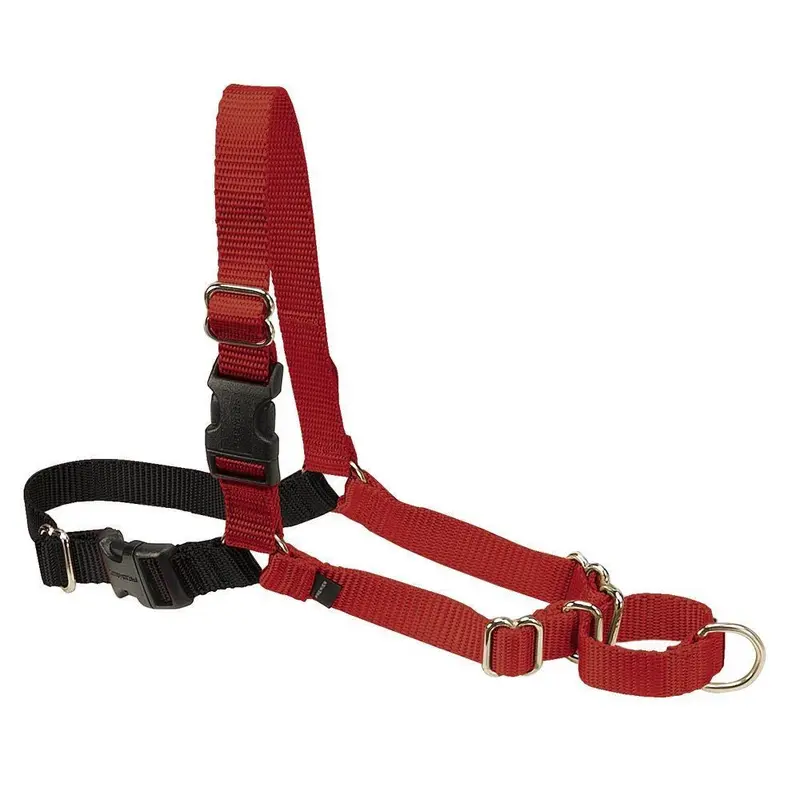 PetSafe Easy Walk Dog Harness Black/Red SM