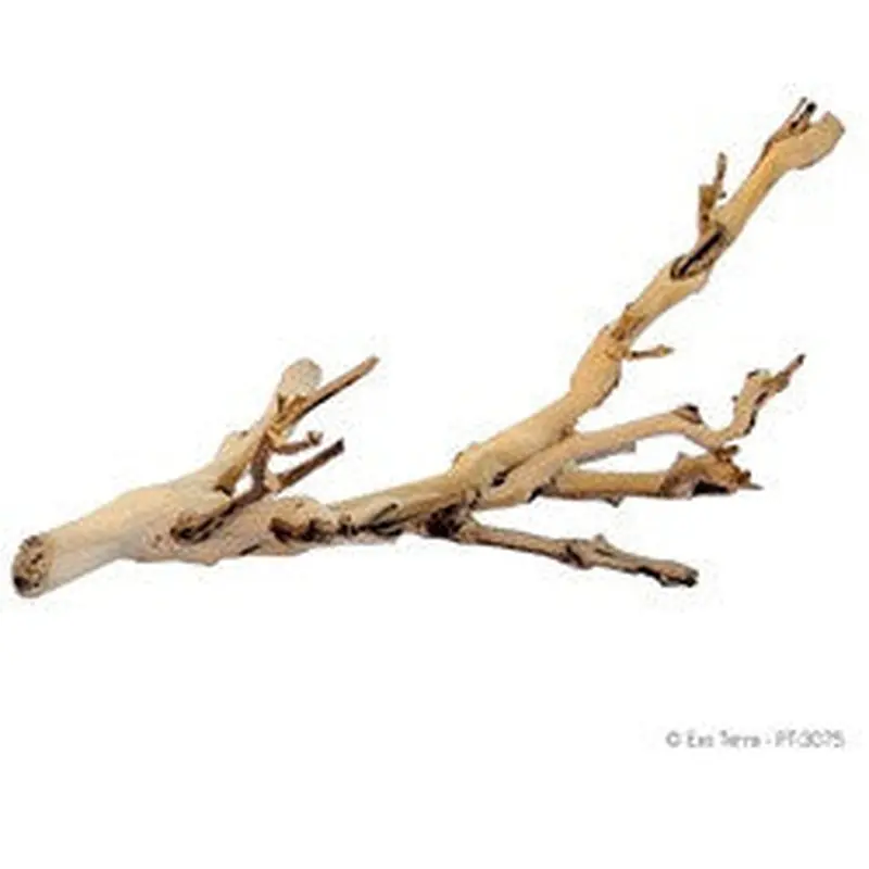 Exo Terra Forest Branch, Small Pt3075