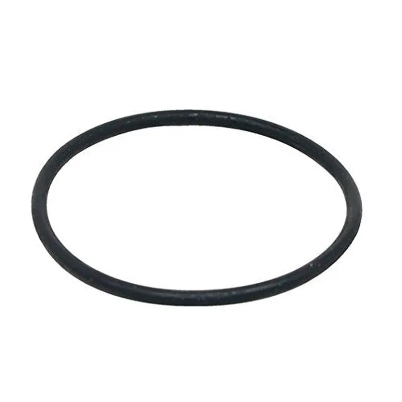 Fluval Fx4 Motor Seal Ring A20211