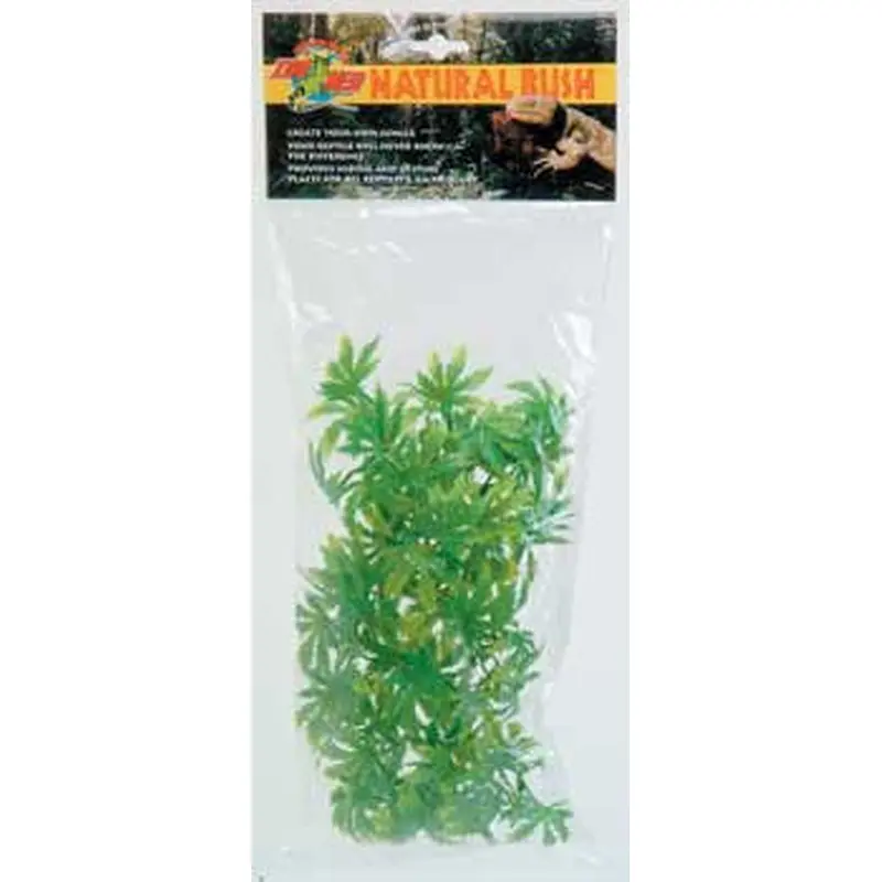 Zoo Med Medium Malaysian Fern 