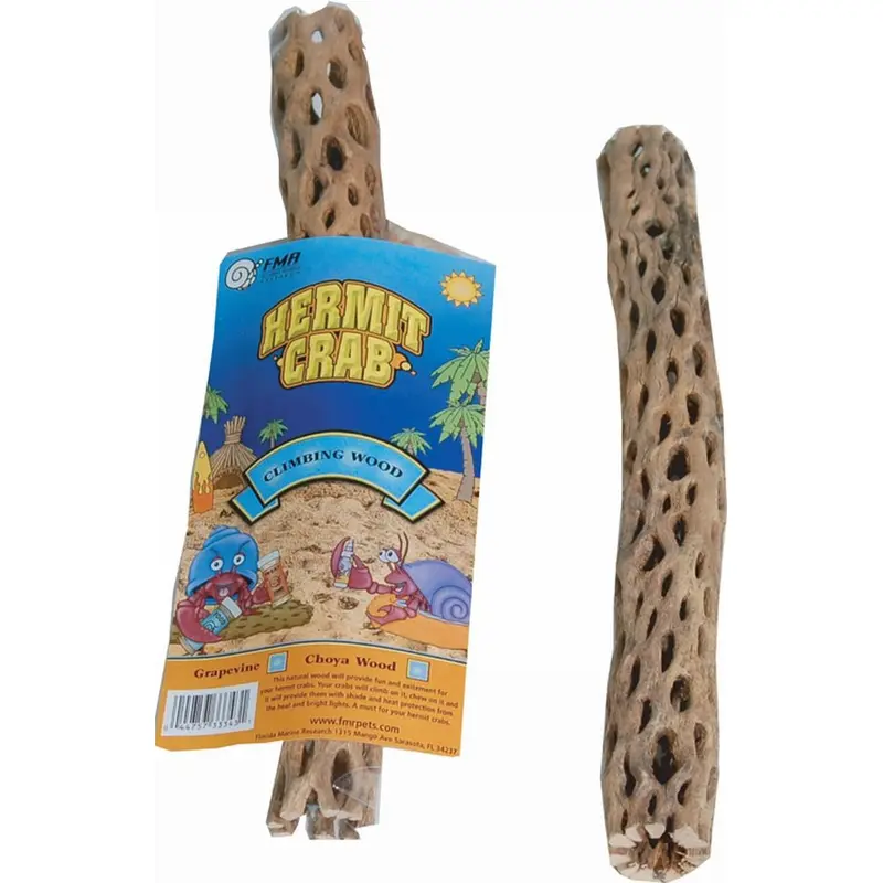 Florida Marine Research Hermit Crab Choya Wood Brown LG