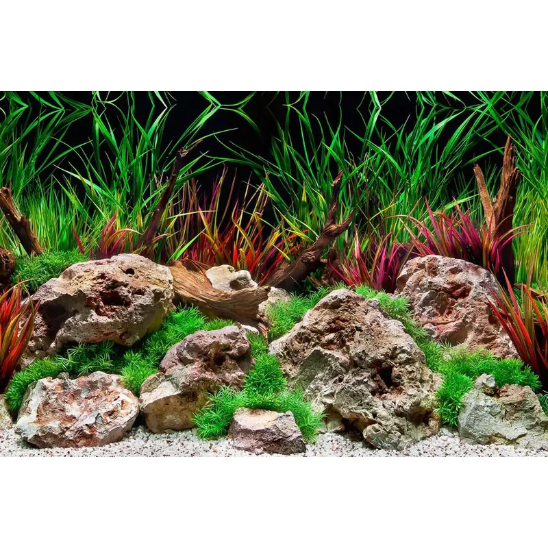 Seaview Double Sided Background Aquawild & Slateways 18 Inches X 50 Feet