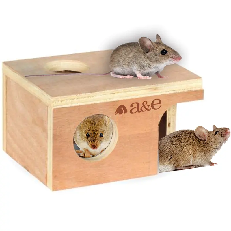 A & E Cages Small Animal Hut Mouse Wood 5 1/4 inches X 3 7/8 inches X 3 inches