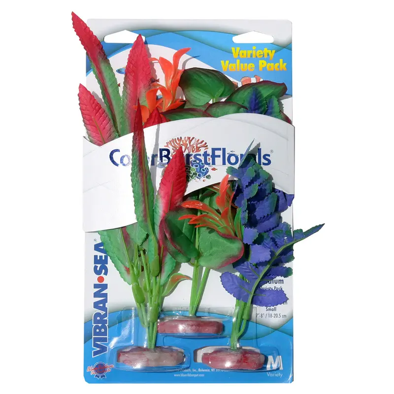 Blue Ribbon Colorburst Florals Variety Pack Plants 2 MD & 1 SM