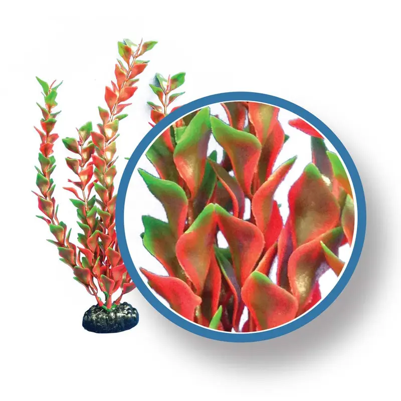 Weco Freshwater Pro Series Ludwigia Aquarium Plant Red 24 in
