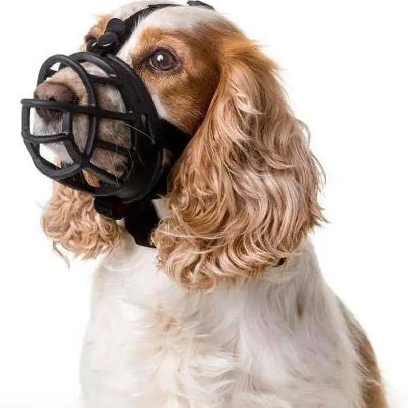 The Company Of Animals Baskerville Ultra Muzzle For Dogs-dogs 15-25 Lbs (size 2)-
