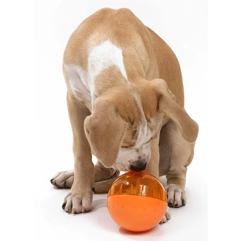 OurPets IQ Treat Ball Slow Feed Dog Toy Assorted LG 4in
