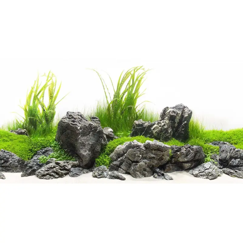 Seaview Double Sided Background Amazonia & Green Spike 12 Inches X 50 Feet
