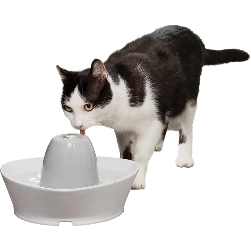 PetSafe Creekside Ceramic Pet Fountain 60 oz