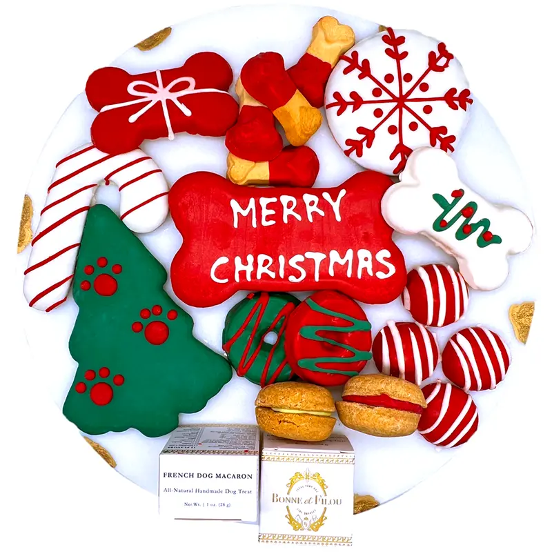 Christmas Themed Dog Treats Gift Box