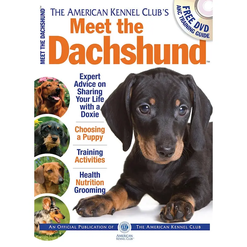 Meet the Dachshund